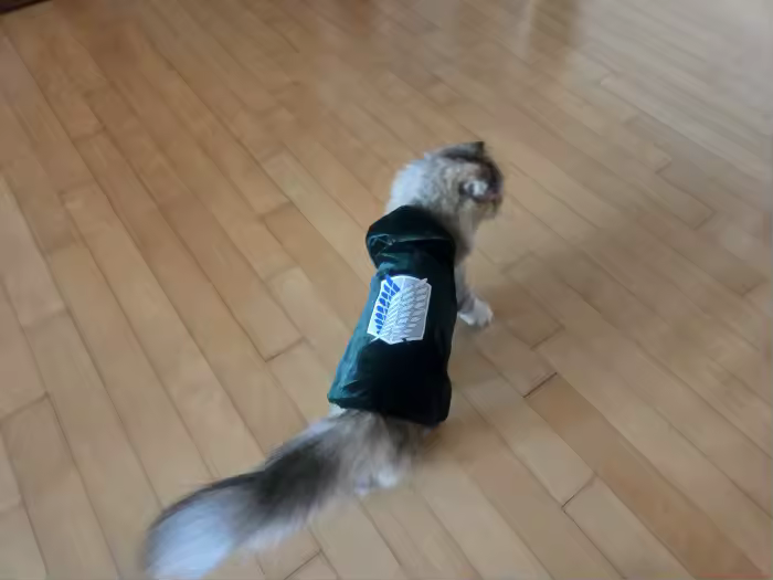 One of our scouts, hood down, on patrol at home
