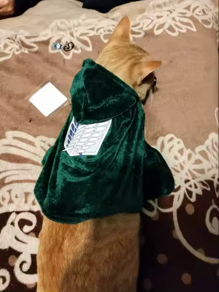 A scout taking a break on the bed