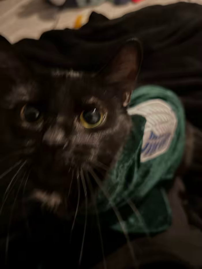 A close-up on our scout