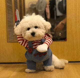 Small white dog in Chucky killer doll costume