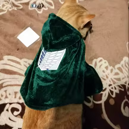 Hooded Scout Cloak
