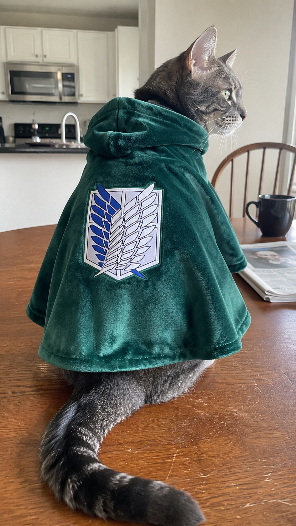 Grey tabby cat wearing the green FurCorps Scout Cloak in a kitchen