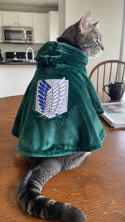 Grey tabby cat wearing the green FurCorps Scout Cloak in a kitchen