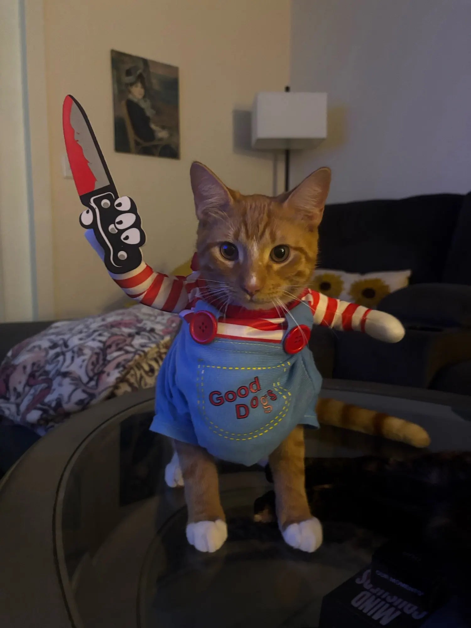 Customer photo: orange cat flexing in Purrfect Slasher costume
