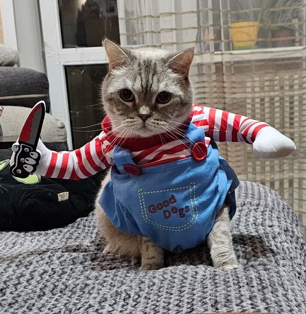 Customer photo: grey cat wearing Purrfect Slasher costume