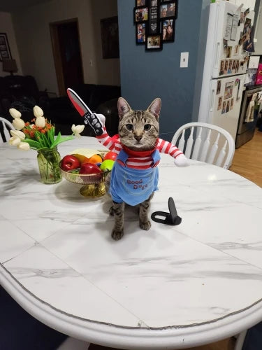 Customer photo: tabby cat in Purrfect Slasher costume standing on table
