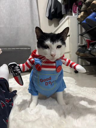 Customer photo: black and white cat in killer doll costume