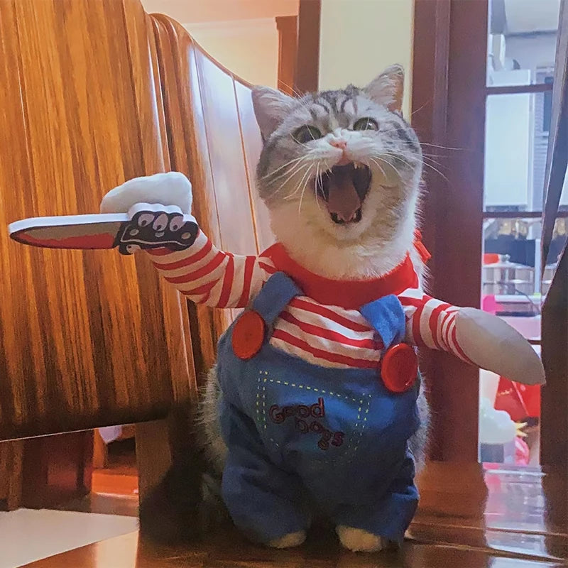 Purrfect Slasher cat costume front view