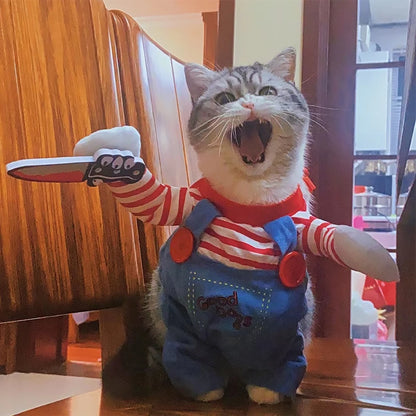 Purrfect Slasher cat costume front view