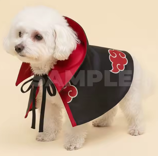 Small dog wearing the Akatsuki pet cloak