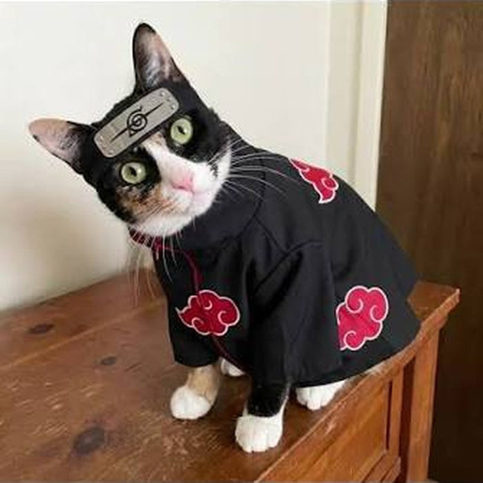 Hana's cat, deep in Akatsuki territory