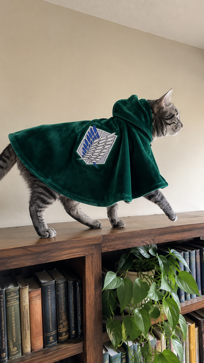 Cat walking along a bookshelf in the green hooded FurCorps Scout Cloak