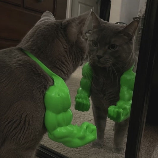 Cat wearing green Purrfect Flex Arms flexing in front of a mirror