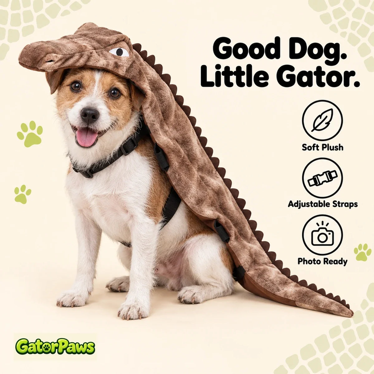GatorPaws carousel-4