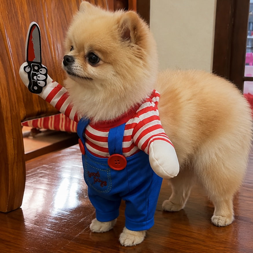 Pomeranian wearing the Purrfect Slasher killer doll costume