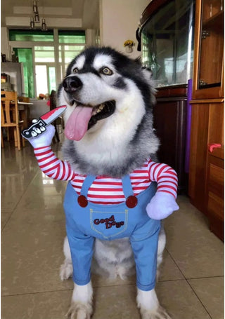 Husky in Chucky killer doll costume