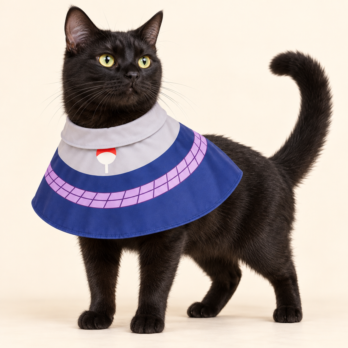 Sasuke Pet Cloak on a black cat