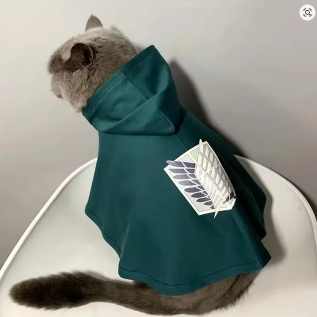 Hooded Scout Cloak