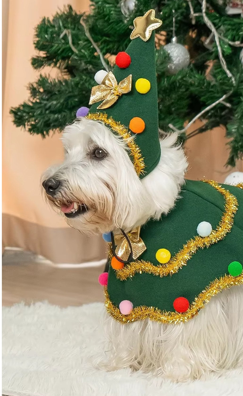 White terrier wearing the Pupmas Tree cape and hat beside a Christmas tree